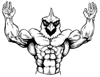 Weightlifting Cardinals Mascot Decal / Sticker 1