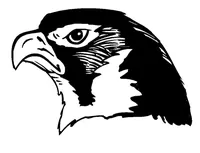 Hawks / Falcons Mascot Decal / Sticker 2