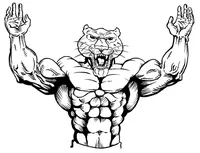 Weightlifting Cougars / Panthers Mascot Decal / Sticker 1