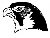 Custom HAWKS Decals AND HAWKS MASCOT Stickers Any Size & Color