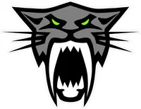 Arctic Cat Head decal / sticker