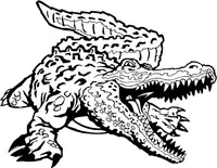 Gators Mascot Decal / Sticker