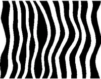 Zebra Stripe Decal / Sticker 01
