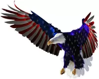 Custom EAGLE Decals and EAGLE STICKERS Any Size & Color