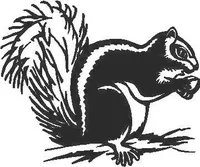 Squirrel Decal / Sticker