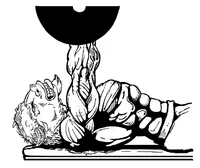 Weightlifting Buffalo Mascot Decal / Sticker wt6