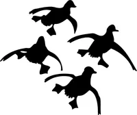 4 Ducks Flying Decal / Sticker 29