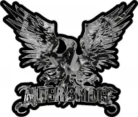 Forged Carbon Fiber Alter Bridge Decal / Sticker 08