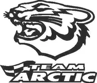 Team Arctic Cat decal /sticker