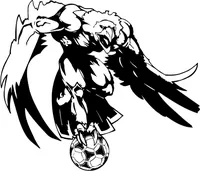 Soccer Eagles Mascot Decal / Sticker