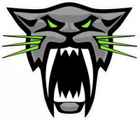 Arctic Cat Decal / Sticker 14