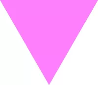 Pink Triangle Decal / Sticker 01 ANY COLOR YOU WANT