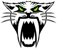 Arctic Cat Decal / Sticker 17