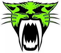 Green Arctic Cat Head decal / sticker 19