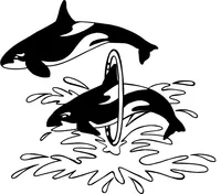 Killer Whales Mascot Decal / Sticker