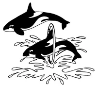 Killer Whales Mascot Decal / Sticker 0b