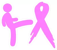 Custom CANCER AWARENESS Decals and Stickers Any Size & Color