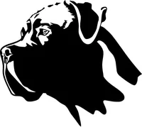 Custom Cane Corso Decals and Stickers - Any Size & Color