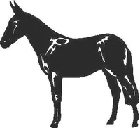 Jackass (mule)  Decal / Sticker