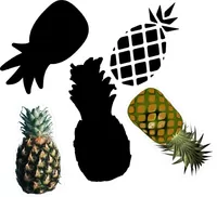 Custom Pineapple Decals and Stickers - Any Size & Color