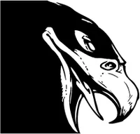 Hawks / Falcons Head Mascot Decal / Sticker