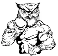 Track and Field Owls Mascot Decal / Sticker 3