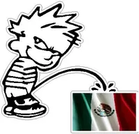 Z1 Pee On Mexican Flag Decal / Sticker