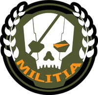 CUSTOM MILITIA DECALS and STICKERS