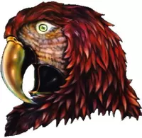 Parrot Decal / Sticker 01