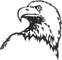 Eagle Decal / Sticker 11