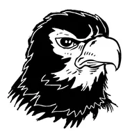 Hawks / Falcons Mascot Decal / Sticker 4