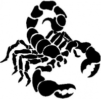 CUSTOM SCORPION DECALS and SCORPION STICKERS