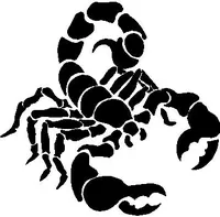 Scorpion Decal / Sticker 03