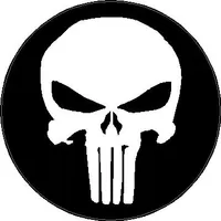 Circular Punisher Decal / Sticker