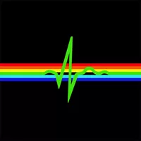 Pink Floyd Heartbeat Decal / Sticker 11