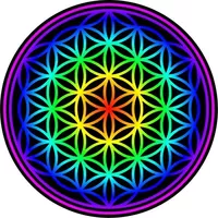 Flower of Life Decal / Sticker 03