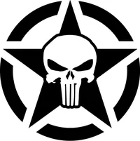 Punisher Star Decal / Sticker 117