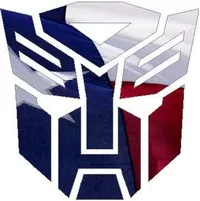 Autobot 06 Texas Flag Decal / Sticker