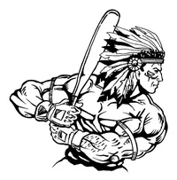 Baseball Braves / Indians / Chiefs Mascot Decal / Sticker ba3
