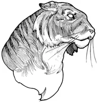 Tigers Head Mascot Decal / Sticker