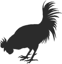 Rooster Decal / Sticker 02