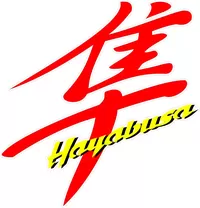 Custom Hayabusa Decals and Stickers - Any Size & Color