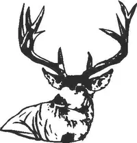 Buck Deer Decal / Sticker 07