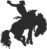 Bronco Rider Decal / Sticker