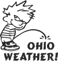 Z1 Pee On Ohio Weather Decal / Sticker