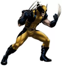 X-men Wolverine Decal / Sticker 09