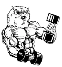 Weightlifting Owls Mascot Decal / Sticker 2