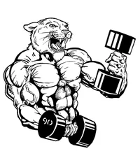 Weightlifting Cougars / Panthers Mascot Decal / Sticker 2