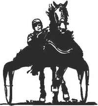 Harness Race Decal / Sticker 01