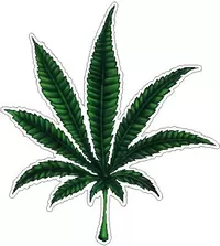 Weed Pot Leaf Decal / Sticker